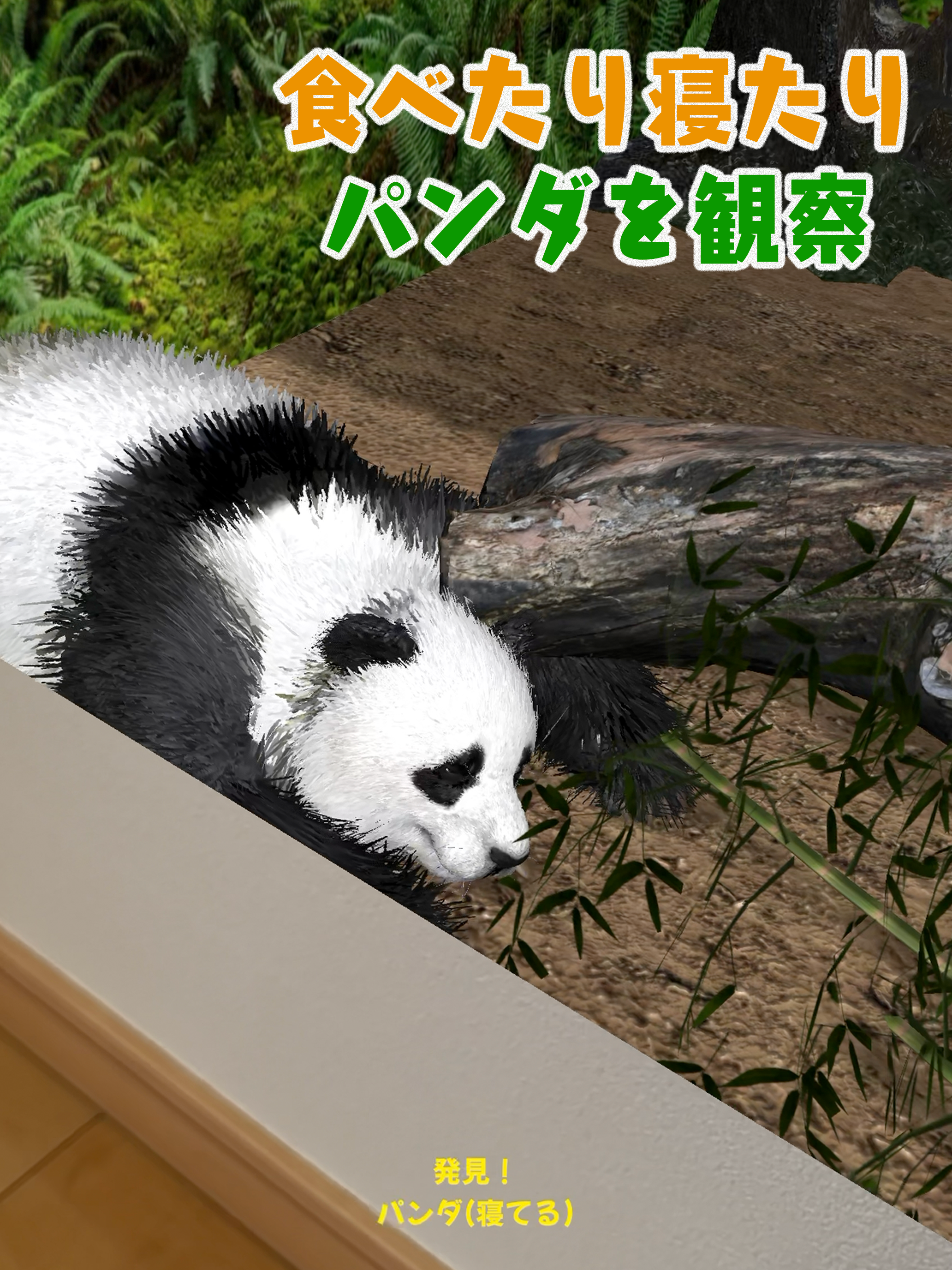 おうちでパンダ iPad スクリーンショット 2