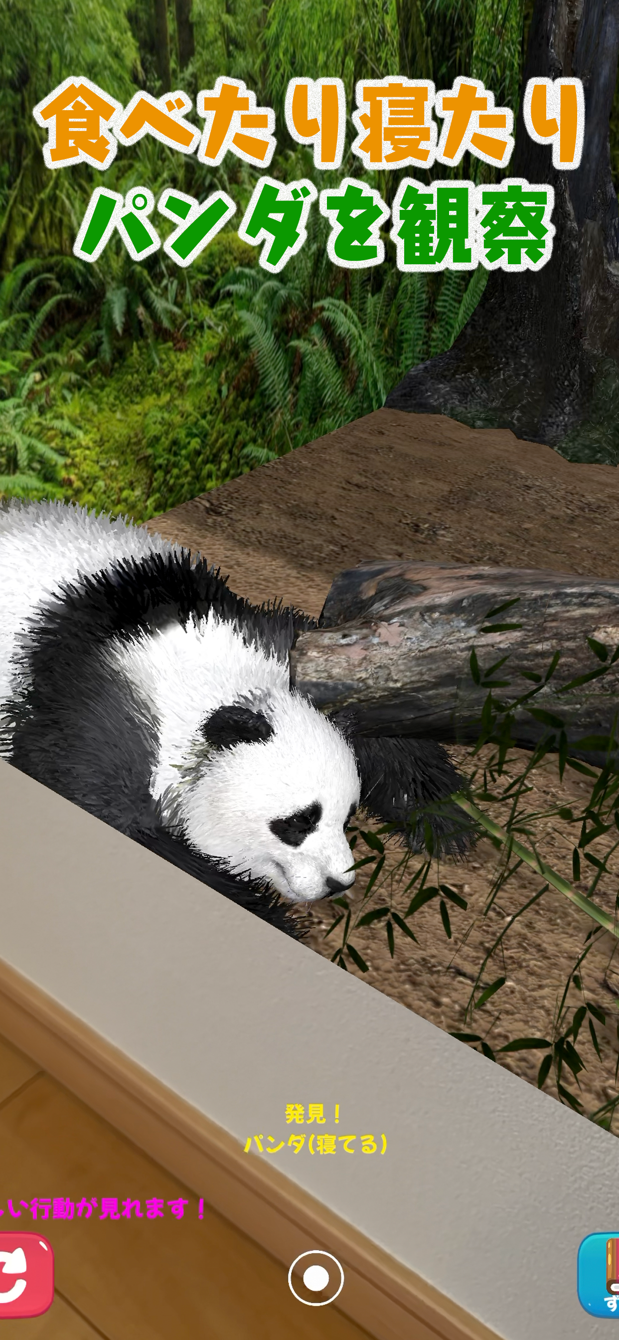 おうちでパンダ iPhone スクリーンショット 3